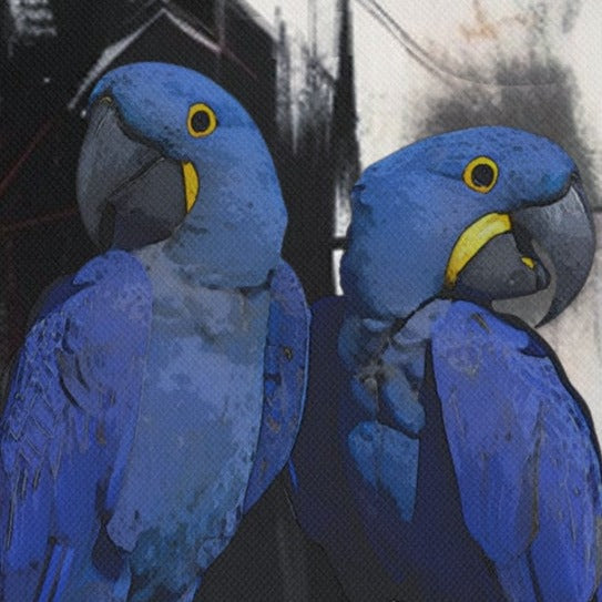 Hyacinth Macaw Anniversary/Friendship Canvas Gift